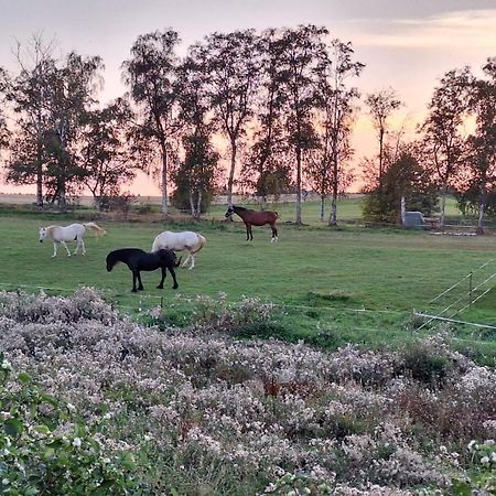 Js Feriendomizile Haus Abendrot Villa Hasselfelde Buitenkant foto